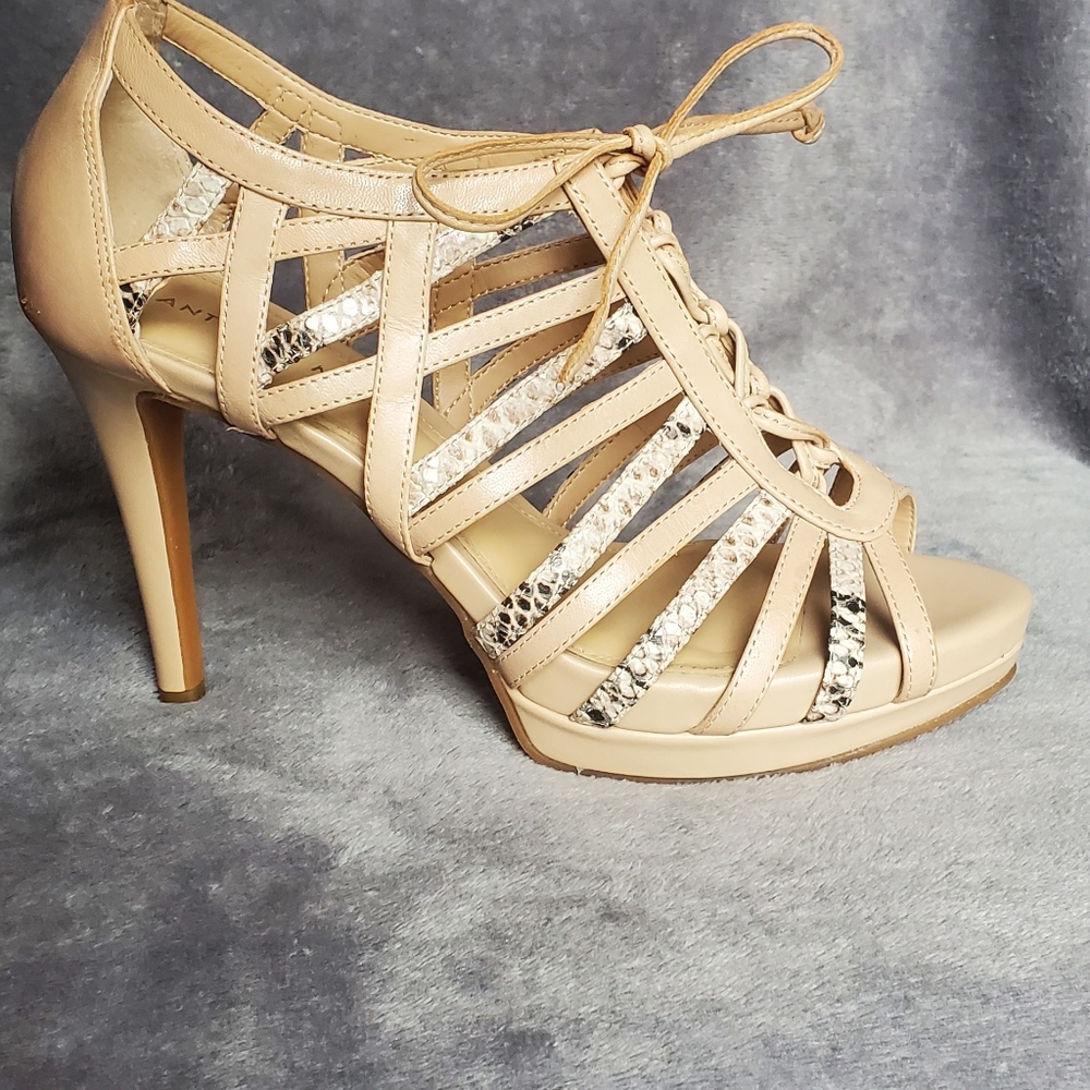 Shoes - Picture 4 of 5